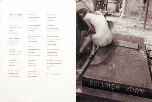 pages 7 and 8